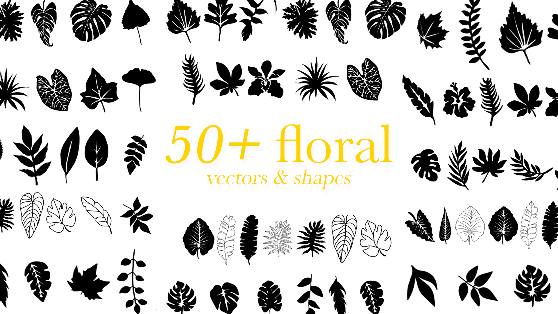 Floral Vectors & Shapes Pack 1.0
